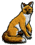 Jumbo 5-1/2 inch round embroidered WB patch Red Fox